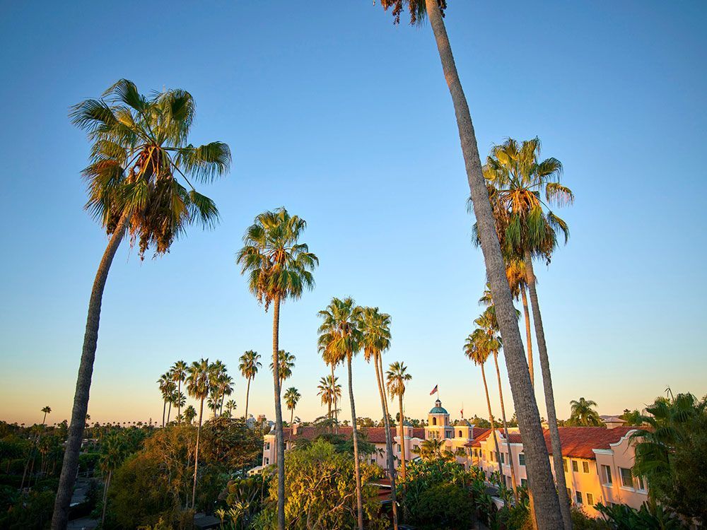 Beverly Hills Hotel - sunset with palm trees
