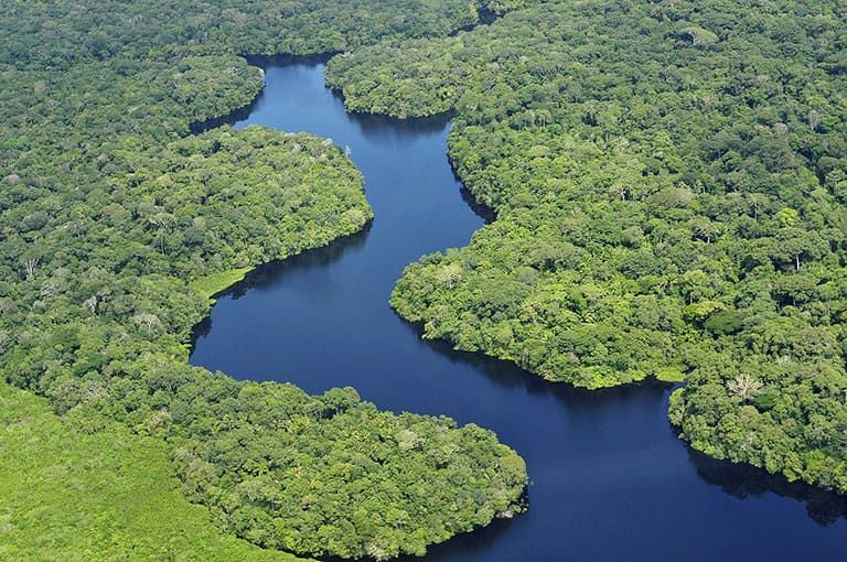 Colombian Amazon